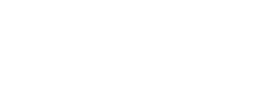 Wise X Logo
